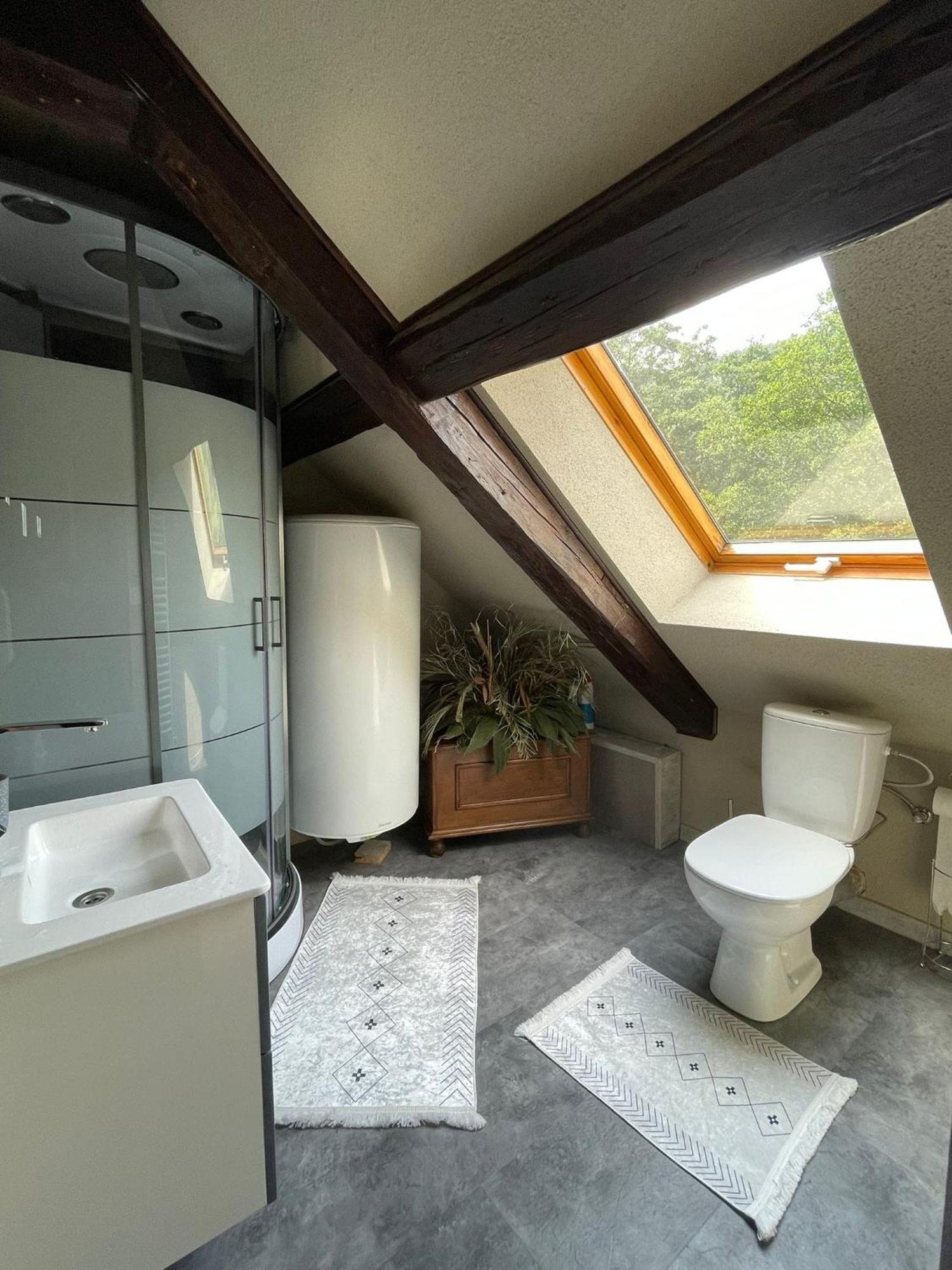 Chez Ester Plainfaing Bagian luar foto