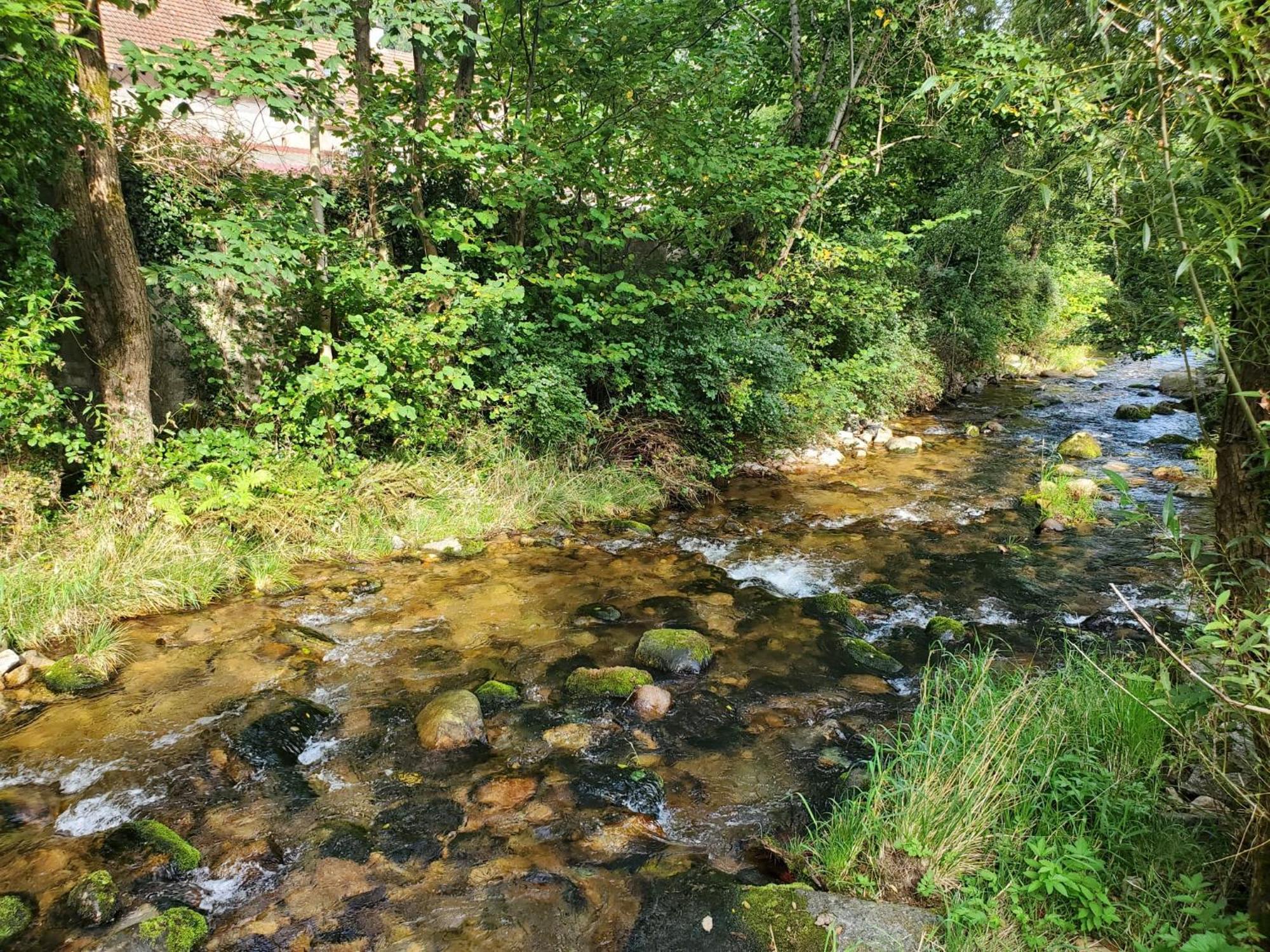 Chez Ester Plainfaing Bagian luar foto